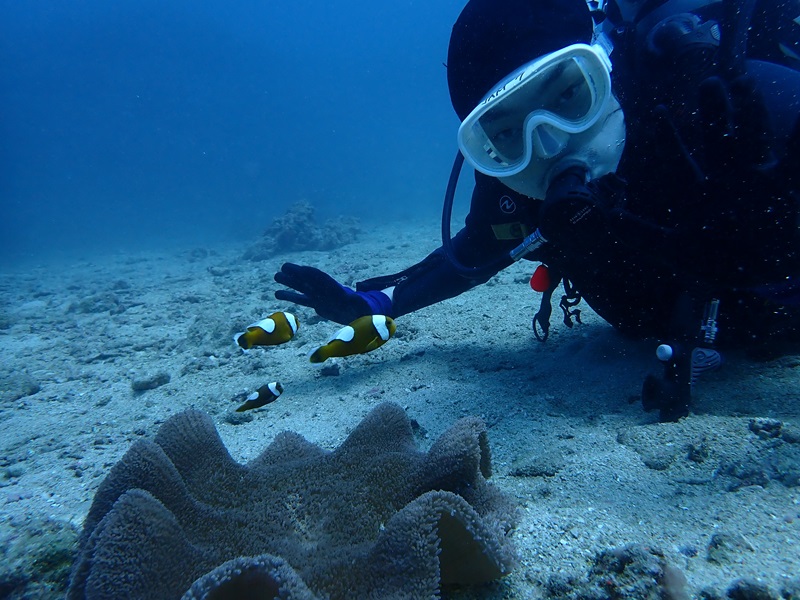 【10/21(火)20:00～21...