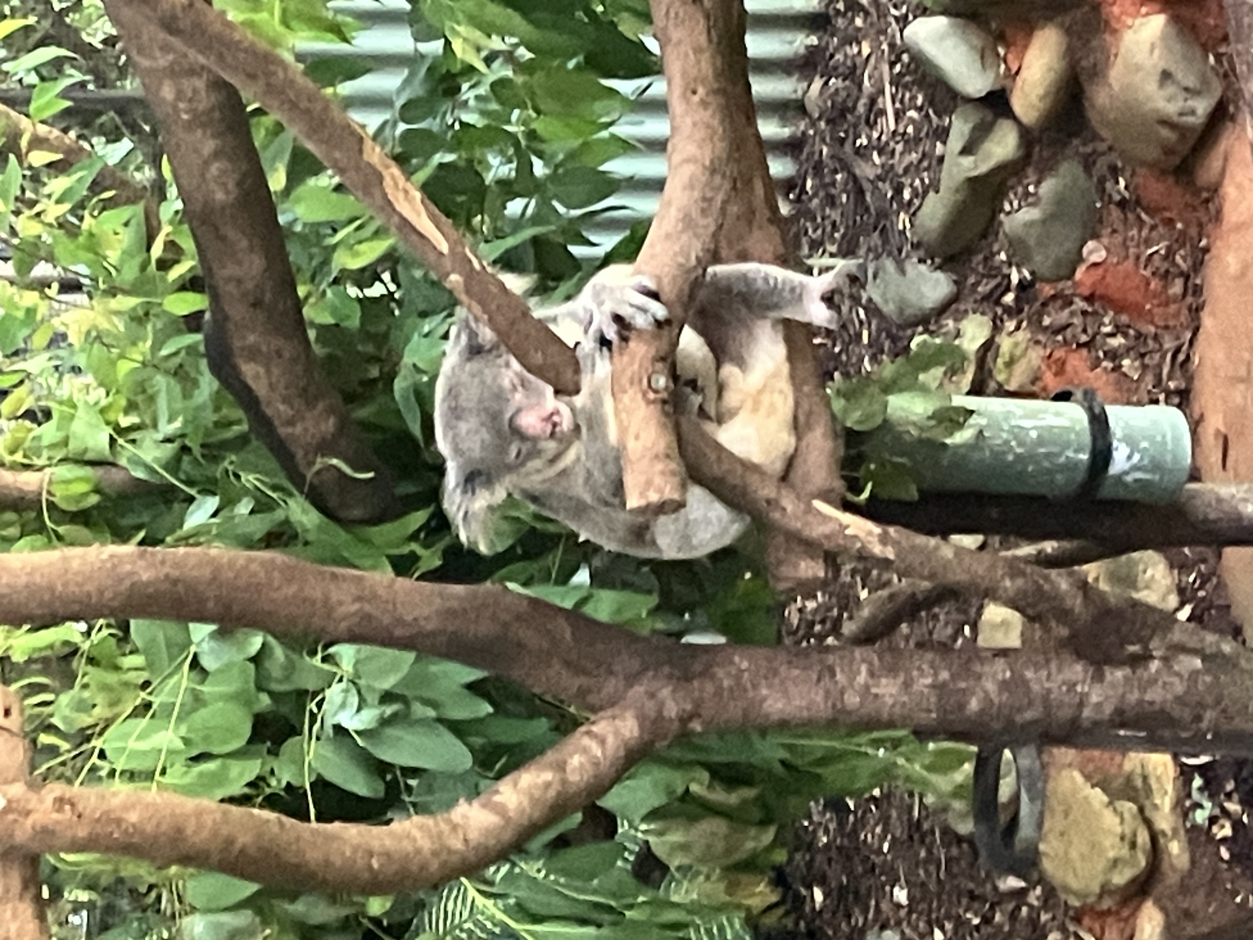 【11/27(木)20:00～21...