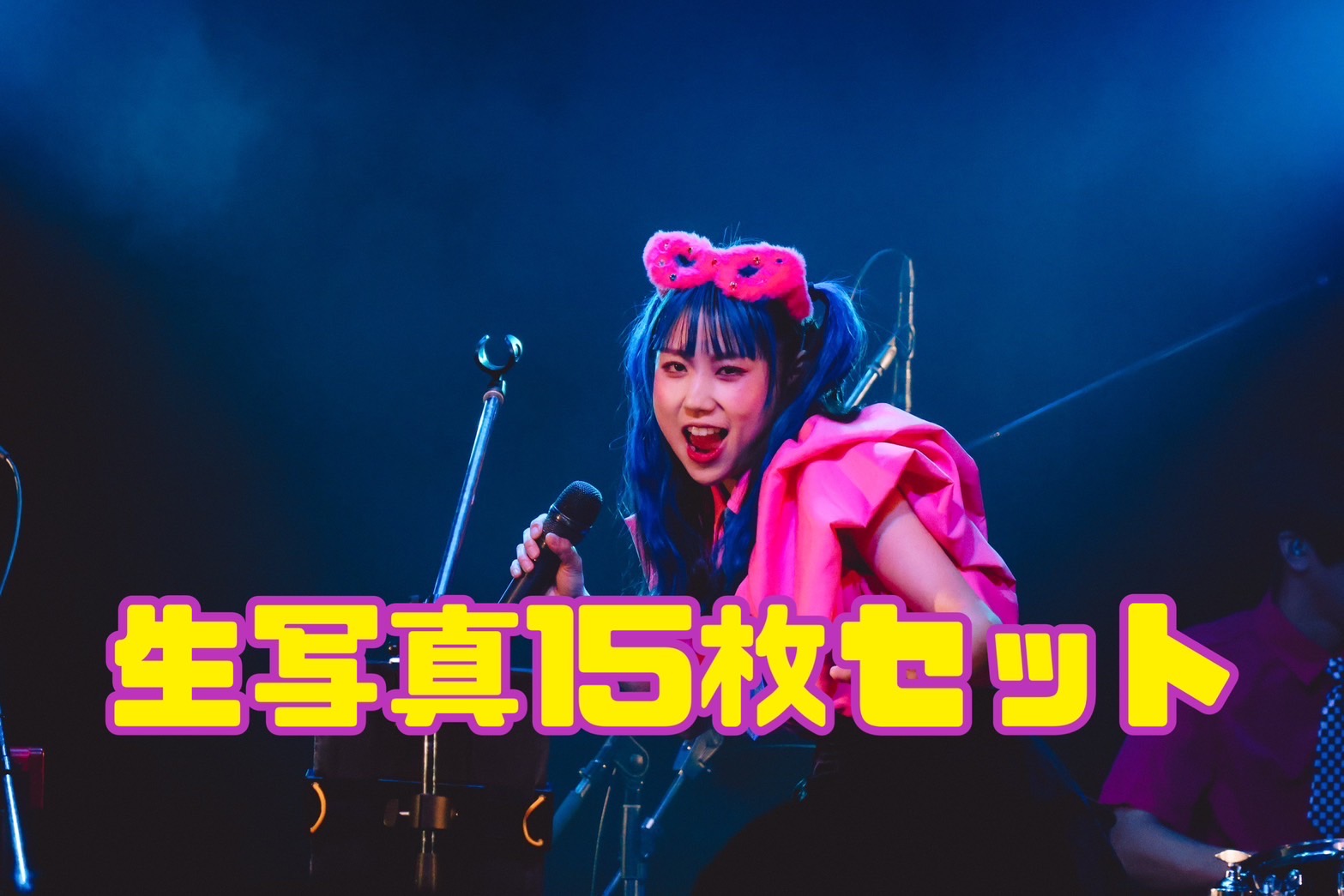 ライブ生写真15枚セッ...