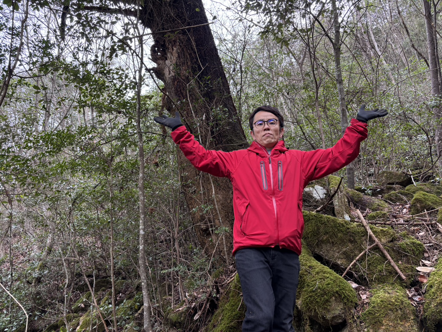 市川ハウス登山道看板...