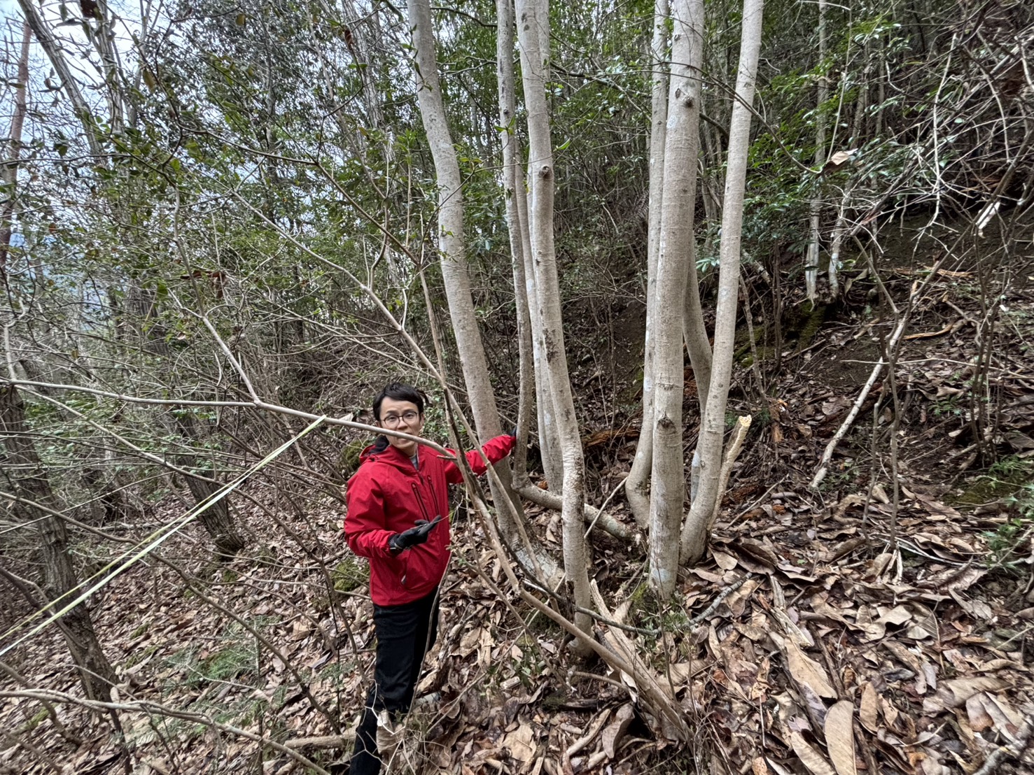 市川ハウス登山道を作...