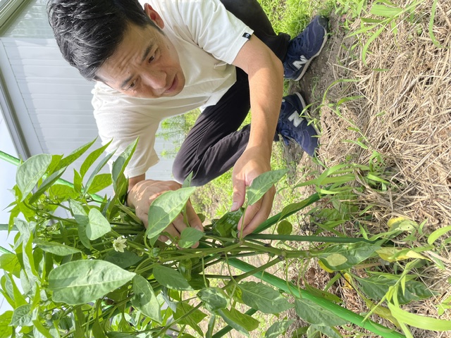 じゃくふぁーむで苗植...