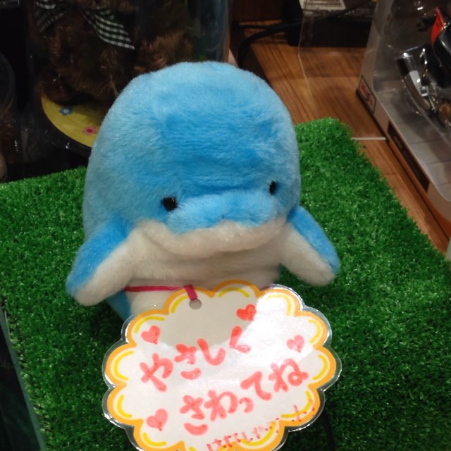 ぽらー
